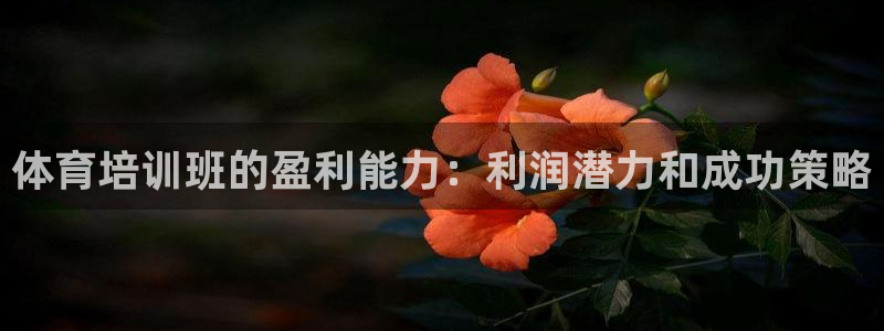 欧陆娱乐注册链接安全吗知乎：体育培训班的盈利能力：利