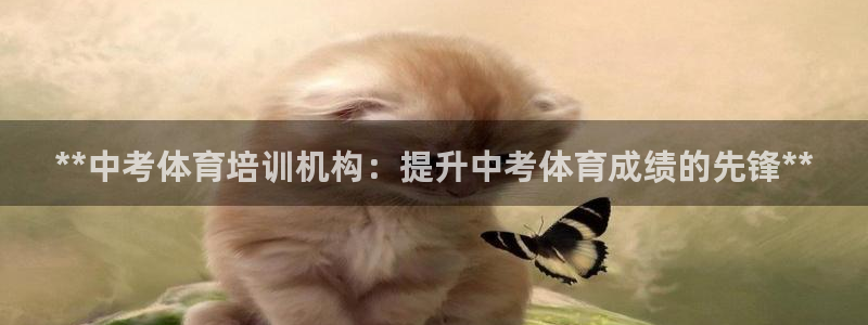 欧陆娱乐计划app官方正版安装下载：**中考体育培训