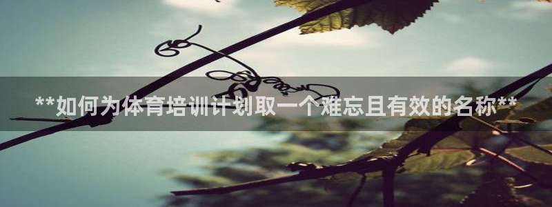 欧陆娱乐注册链接安全吗可靠吗：**如何为体育培训计划