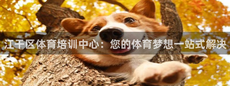 欧陆娱乐是正规平台吗安全吗可靠吗知乎：江干区体育培训