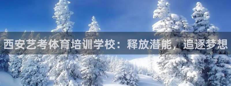 欧陆娱乐官网下载安装最新版本：西安艺考体育培训学校：
