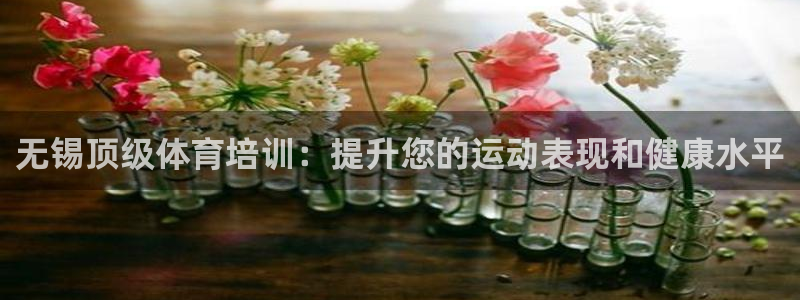 欧陆娱乐简介：无锡顶级体育培训：提升您的运动表现和健