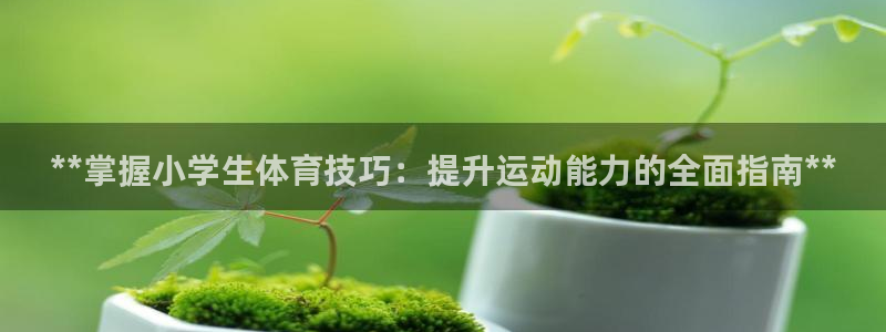 欧陆商城：**掌握小学生体育技巧：提升运动能力的全面