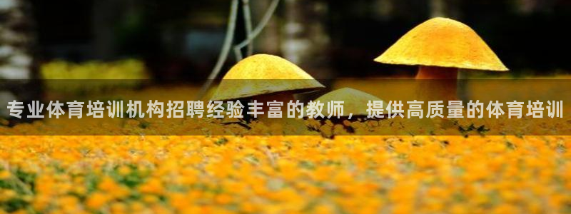 欧陆娱乐平台登陆地址在哪看：专业体育培训机构招聘经验