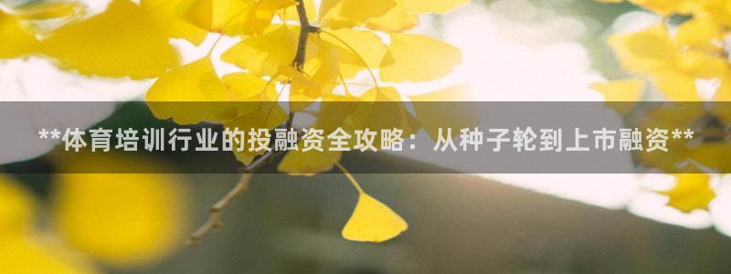 欧陆娱乐登录官网网址：**体育培训行业的投融资全攻略