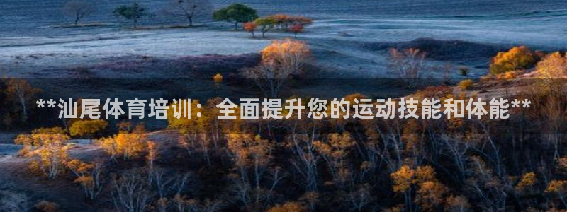 欧陆娱乐平台登录不上怎么回事：**汕尾体育培训：全面