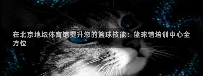 欧陆娱乐不让提现吗：在北京地坛体育馆提升您的篮球技能