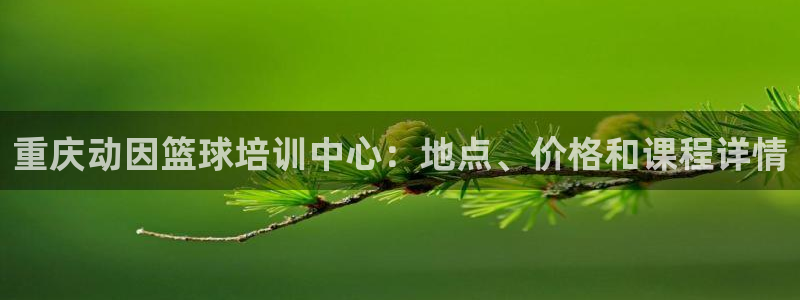 欧陆娱乐脚本：重庆动因篮球培训中心：地点、价格和课程