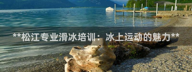 欧陆娱乐客服服务怎么样：**松江专业滑冰培训：冰上运