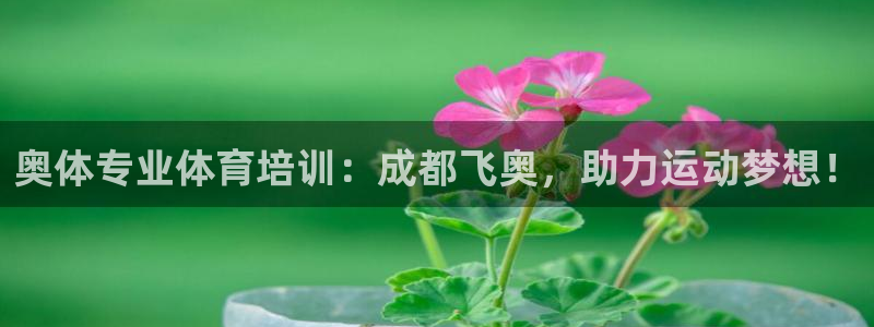 欧陆娱乐平台咋样：奥体专业体育培训：成都飞奥，助力运