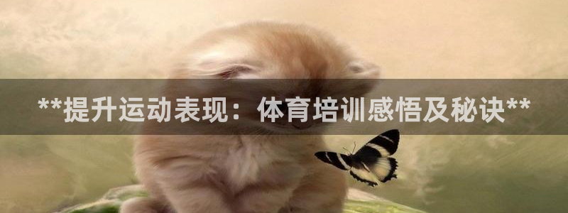 欧陆娱乐登录注册平台官网：**提升运动表现：体育培训