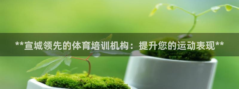 欧陆娱乐代理多少个点位合适：**宣城领先的体育培训机