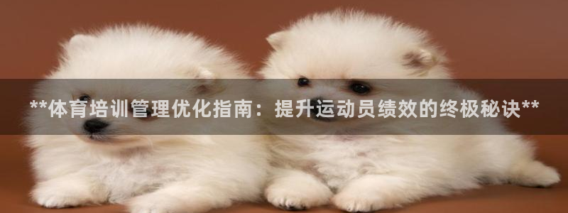 欧陆娱乐能不能玩：**体育培训管理优化指南：提升运动