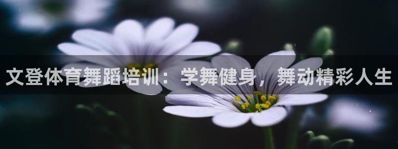 欧陆娱乐官网下载安装最新版本：文登体育舞蹈培训：学舞
