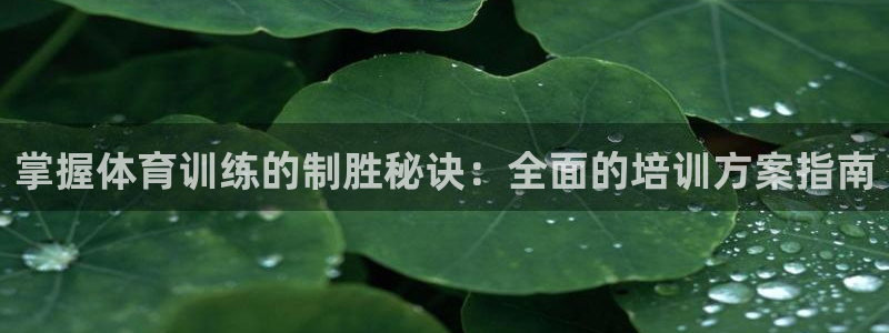 欧陆娱乐挂机怎么玩的：掌握体育训练的制胜秘诀：全面的