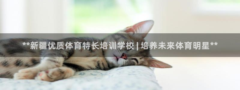 欧陆娱乐客服人工电话：**新疆优质体育特长培训学校 