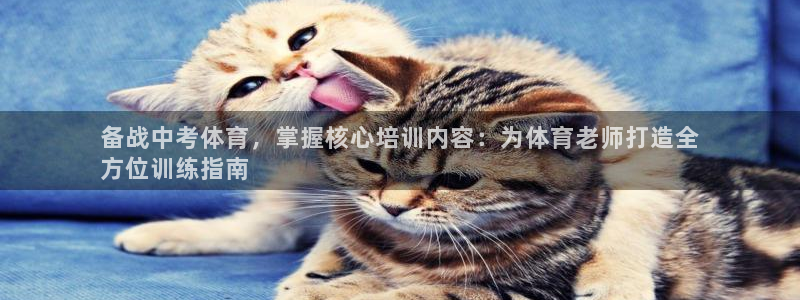 欧陆娱乐平台登录不上去怎么办：备战中考体育，掌握核心