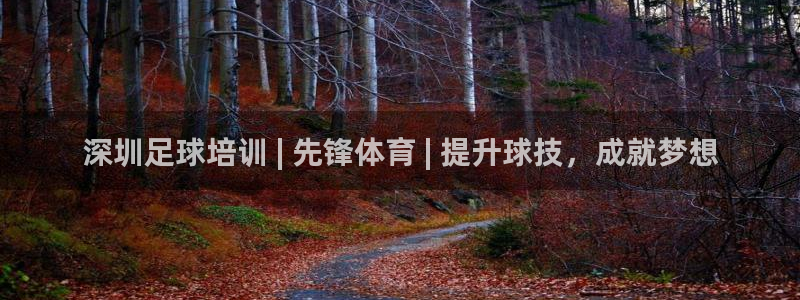 欧陆娱乐登录注册平台有哪些：深圳足球培训 | 先锋体