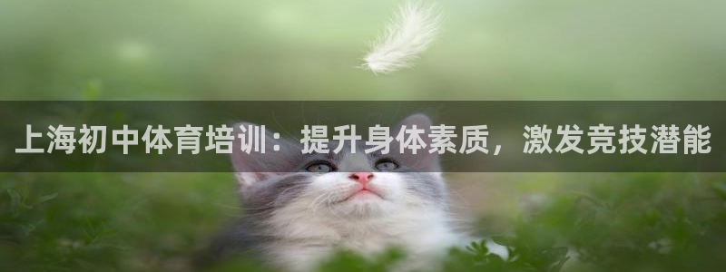 欧陆娱乐怎么样：上海初中体育培训：提升身体素质，激发