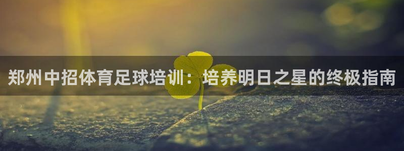 欧陆娱乐系统教程：郑州中招体育足球培训：培养明日之星