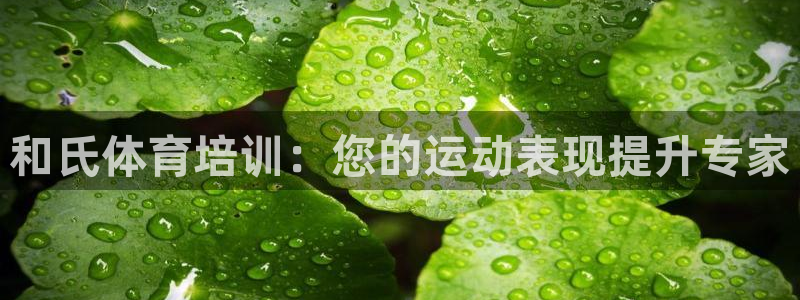 欧陆娱乐计划app官方正版安装下载：和氏体育培训：您
