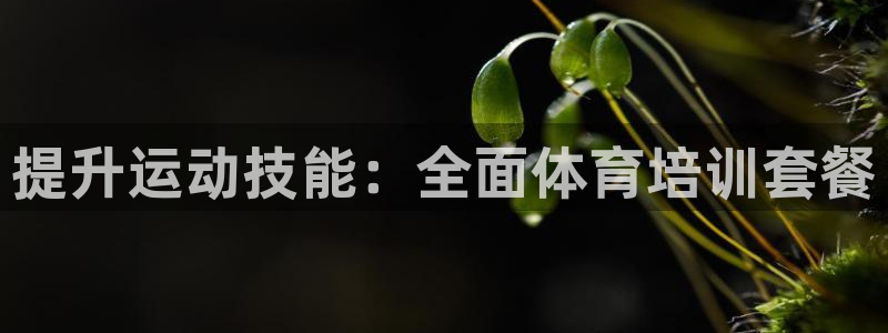 欧陆娱乐有风险吗：提升运动技能：全面体育培训套餐