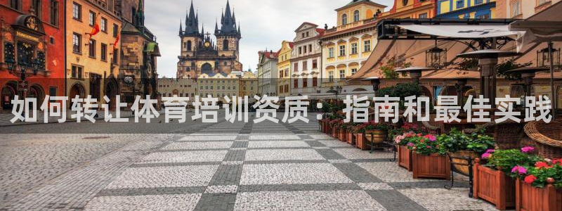 欧陆娱乐有限公司怎么样：如何转让体育培训资质：指南和