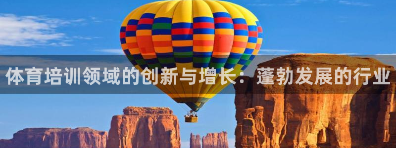 欧陆娱乐群里怎么进：体育培训领域的创新与增长：蓬勃发