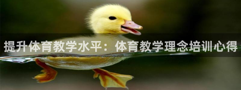 欧陆娱乐平台咋样赚钱快：提升体育教学水平：体育教学理