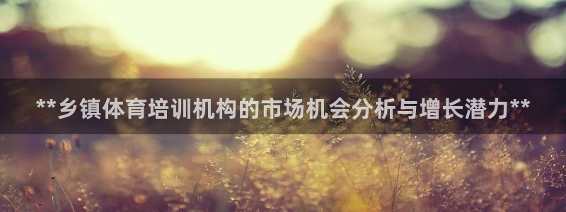 欧陆娱乐登陆平台官网：**乡镇体育培训机构的市场机会