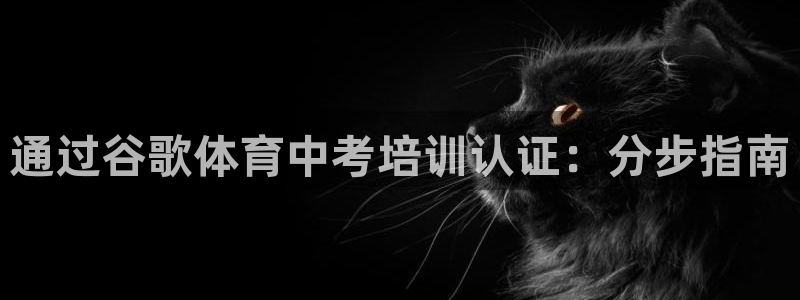 欧陆娱乐怎么注册账号登录：通过谷歌体育中考培训认证：