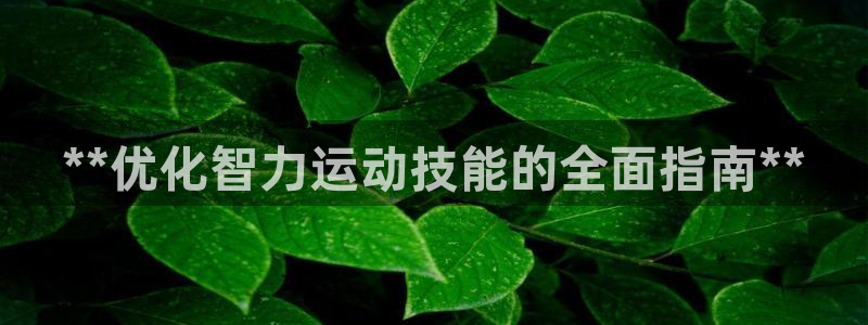 欧陆娱乐游戏：**优化智力运动技能的全面指南**