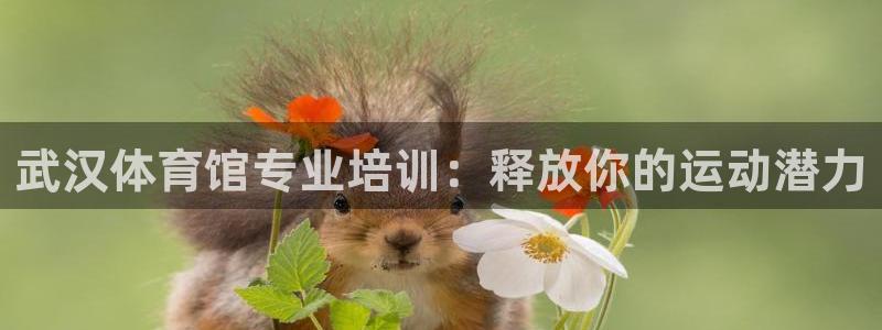 欧陆娱乐登录官网：武汉体育馆专业培训：释放你的运动潜