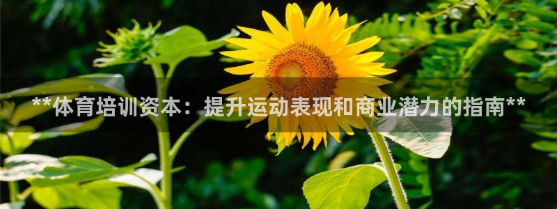 欧陆娱乐测速：**体育培训资本：提升运动表现和商业潜