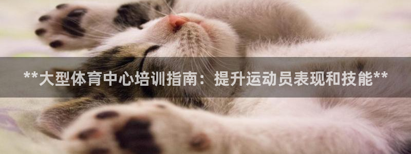 欧陆娱乐登陆官网入口：**大型体育中心培训指南：提升