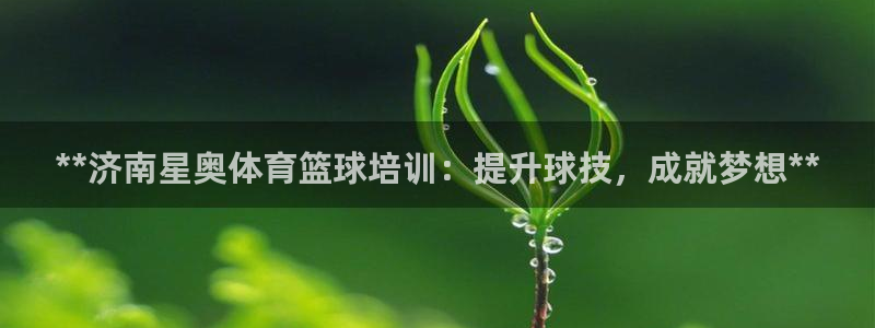 欧陆娱乐挂机项目怎么设置：**济南星奥体育篮球培训：