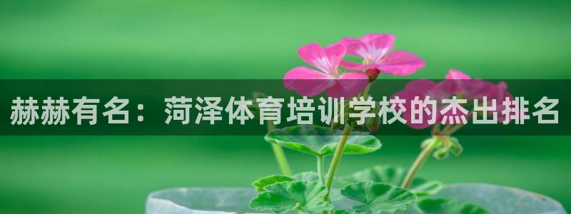 欧陆娱乐图片：赫赫有名：菏泽体育培训学校的杰出排名
