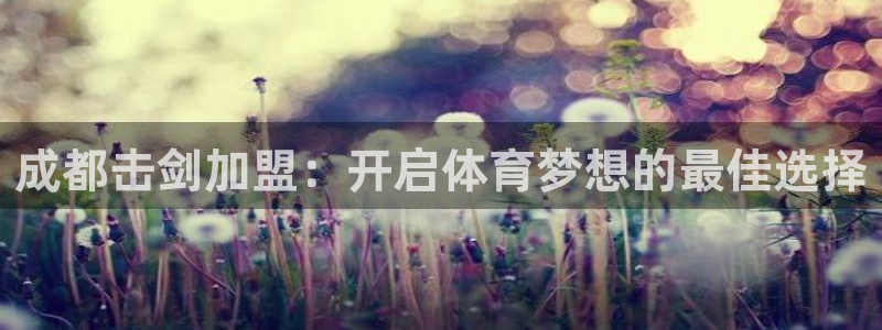 欧陆娱乐官网入口：成都击剑加盟：开启体育梦想的最佳选