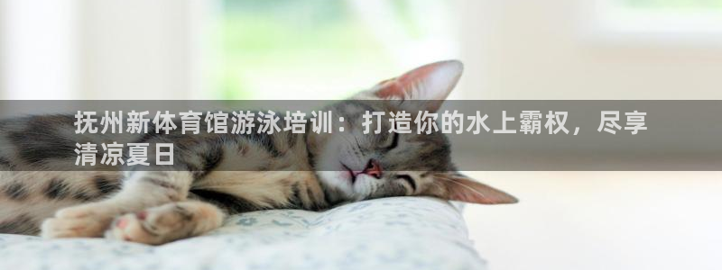 欧陆娱乐试玩官网：抚州新体育馆游泳培训：打造你的水上霸权，尽