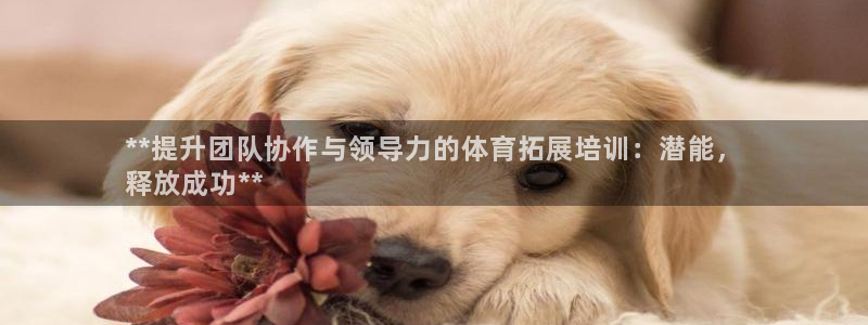 欧陆娱乐官网下载安装苹果：**提升团队协作与领导力的