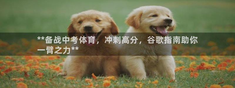 欧陆娱乐会员多少钱：**备战中考体育，冲刺高分，谷歌