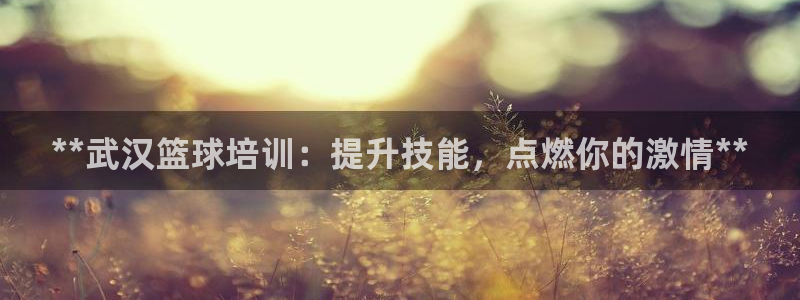 欧陆娱乐是正规平台吗安全吗知乎推荐：**武汉篮球培训