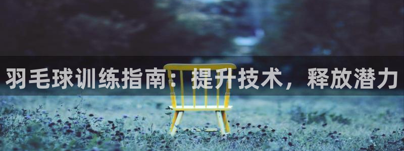 欧陆娱乐官网下载安装苹果：羽毛球训练指南：提升技术，