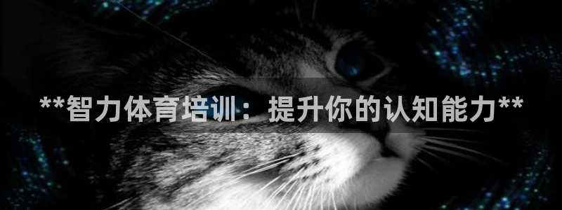 欧陆娱乐代理多少个点位合适：**智力体育培训：提升你