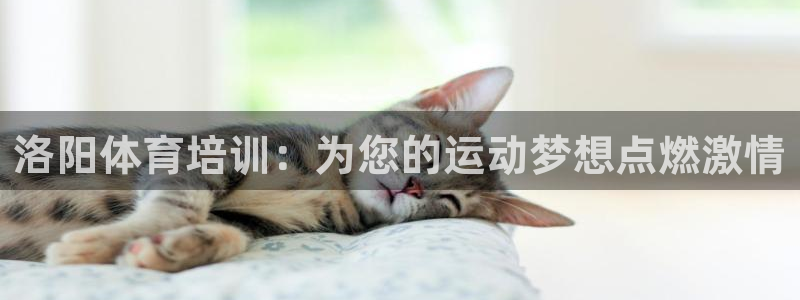 欧陆娱乐是正规平台吗安全吗知乎：洛阳体育培训：为您的
