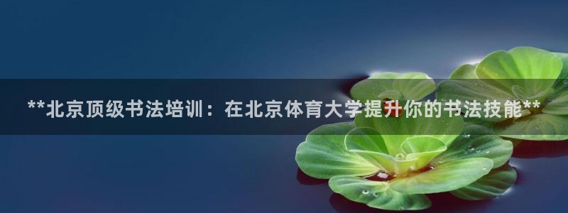 欧陆娱乐官网下载安装苹果：**北京顶级书法培训：在北