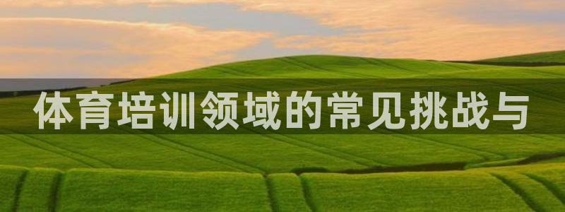 欧陆娱乐登陆官网下载：体育培训领域的常见挑战与