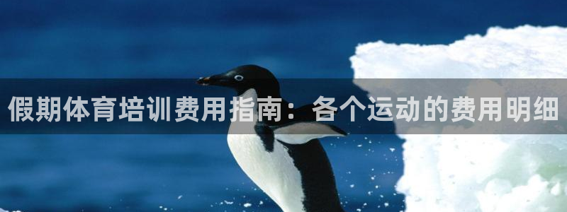欧陆娱乐脚本：假期体育培训费用指南：各个运动的费用明