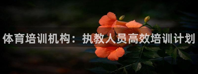 欧陆论坛：体育培训机构：执教人员高效培训计划