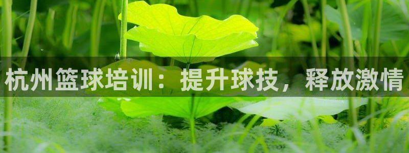 欧陆娱乐app下载：杭州篮球培训：提升球技，释放激情
